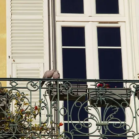 Sanssouci-nice Nice